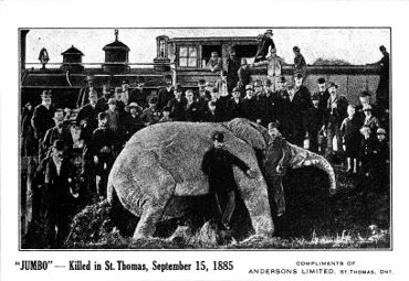 Postcard depicting Jumbo, killed in St. Thomas, September 15, 1885